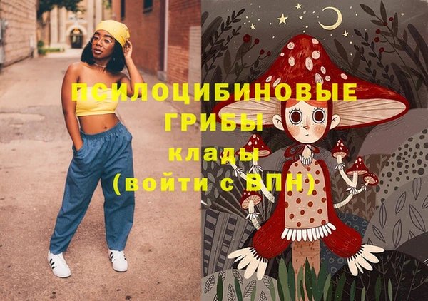 гидропоника Осинники
