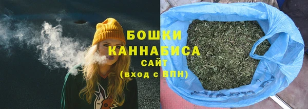 прущие крисы Пересвет