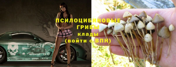 прущие крисы Пересвет