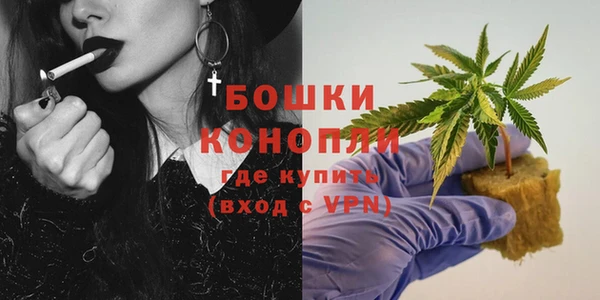 PSILOCYBIN Переславль-Залесский