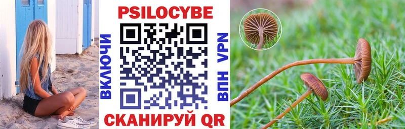 Купить закладки  Кизилюрт  Псилоцибиновые грибы Magic Shrooms 
